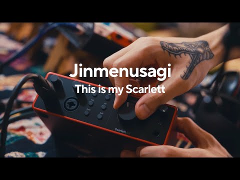 D'Addario NB1253 - Set Nickel Bronze Acoustic, Light, 12-53 по цене 1 670.00 ₽