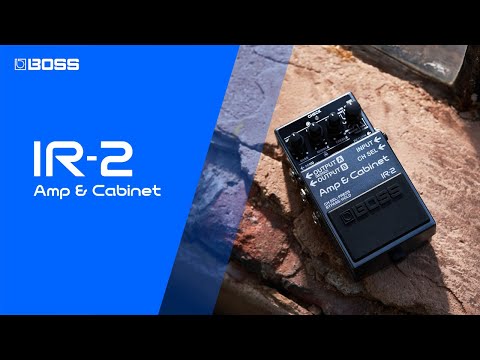 Boss IR-2 Amp & Cabinet по цене 39&nbsp;600.00 ₽