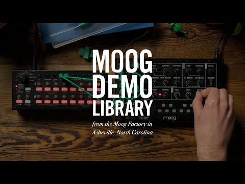 Moog Mavis по цене 38 650 ₽