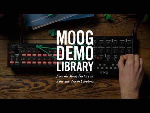 Moog Mavis по цене 32 680 ₽