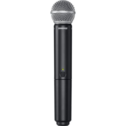 Shure BLX288E/SM58 M17 по цене 113 000 ₽