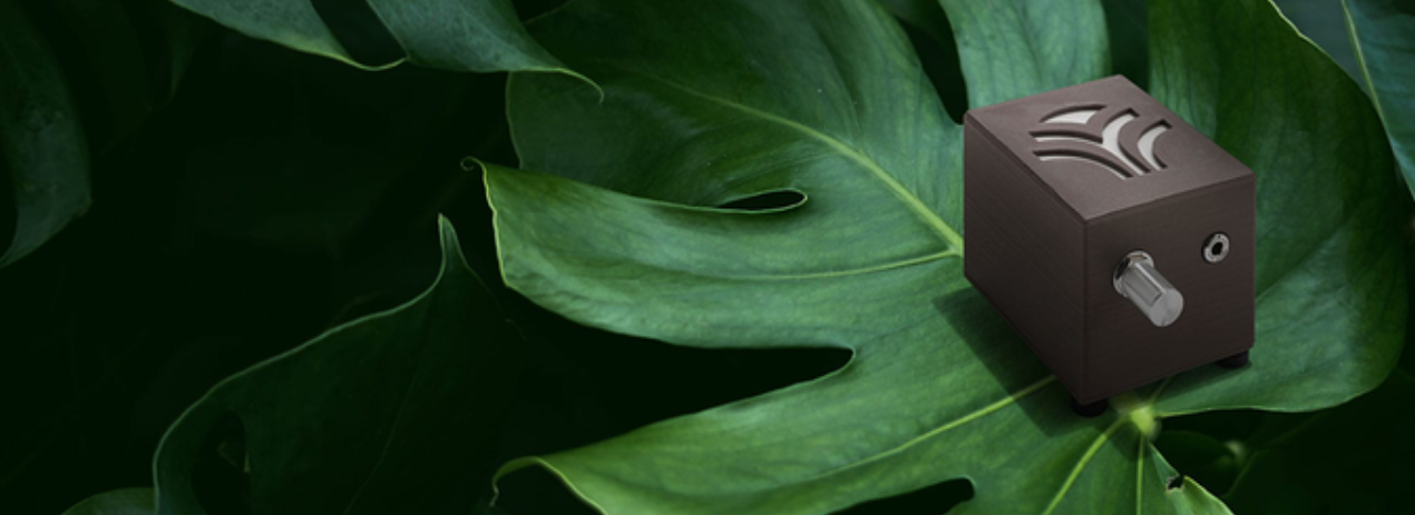 PlantWave | Устройство, которое позволит растениям петь