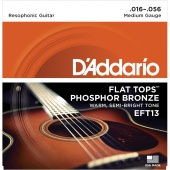 D'Addario EFT13