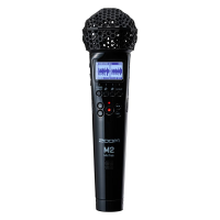 Zoom M2 по цене 22 300 ₽