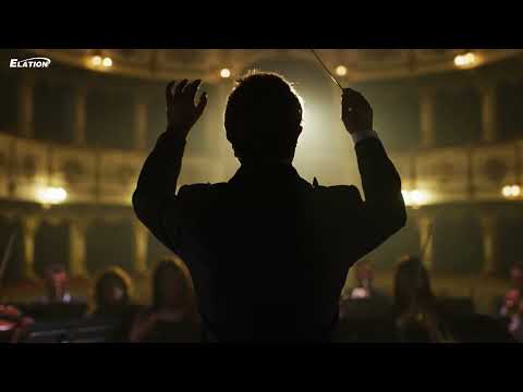 D'Addario NB1253 - Set Nickel Bronze Acoustic, Light, 12-53 по цене 1 670.00 ₽