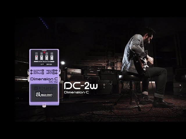 Boss DC-2W по цене 19 000 ₽