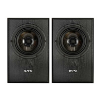 APS Coax 2 Black Pair по цене 146 200.00 ₽