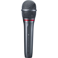 Audio-Technica AE6100 по цене 29 950 ₽