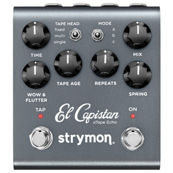 Strymon El Capistan V2 dTape Delay по цене 47 960 ₽