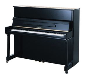 Samick JS121MD/EBHP по цене 600 300 ₽