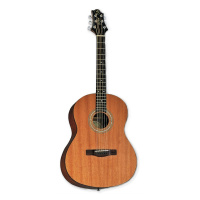 Greg Bennett ST9-1/N по цене 14 450 ₽