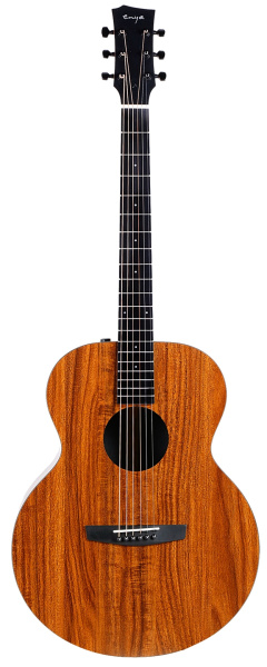 Enya EM-X1EQ+ по цене 28 050 ₽