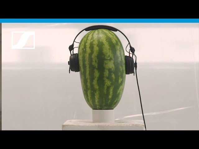 Sennheiser HD 25 по цене 15 850 ₽