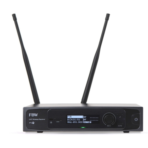 FBW P1R по цене 20 400 ₽