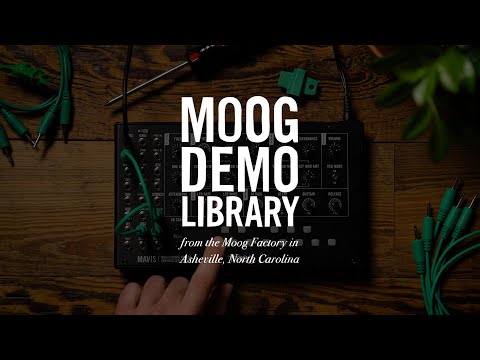 Moog Mavis по цене 38 650 ₽