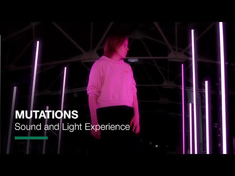 D'Addario NB1253 - Set Nickel Bronze Acoustic, Light, 12-53 по цене 1 670.00 ₽