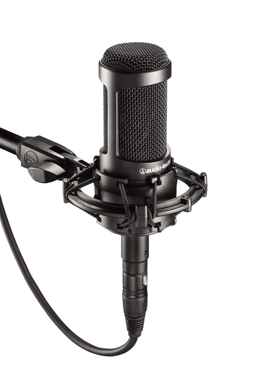 Audio-Technica AT2035 по цене 30 400 ₽