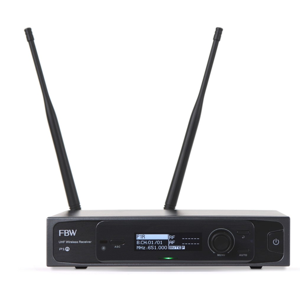 FBW P1R по цене 20 400 ₽