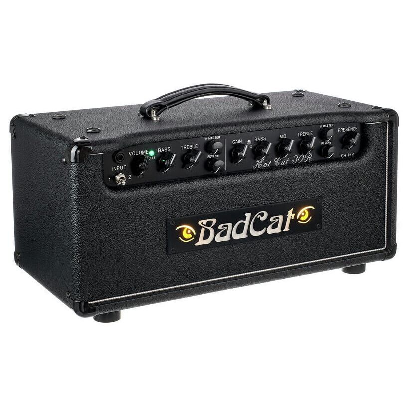 Bad Cat Hot Cat 30 Reverb Head по цене 378 150 ₽