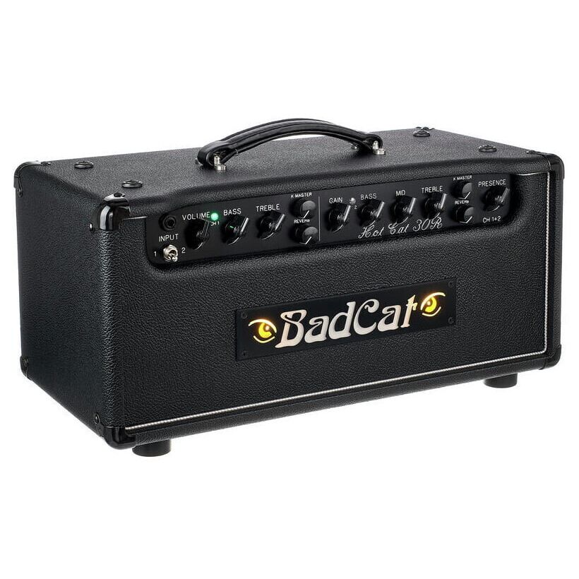 Bad Cat Hot Cat 30 Reverb Head по цене 378 110 ₽