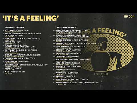 D'Addario NB1253 - Set Nickel Bronze Acoustic, Light, 12-53 по цене 1 670.00 ₽