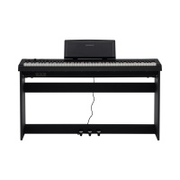 Rockdale Nocturne S 256 BK