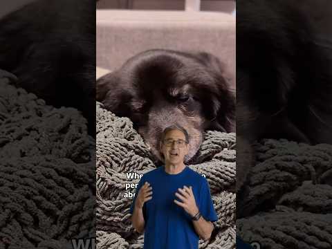 Relax with Ambient Music. Tip from David at the Apple Store. #Shorts