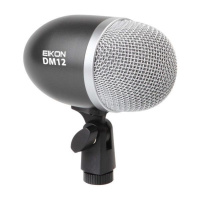 Proel Eikon DM12