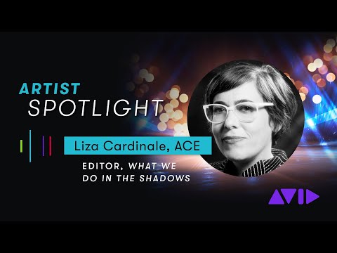 D'Addario NB1253 - Set Nickel Bronze Acoustic, Light, 12-53 по цене 1 670.00 ₽