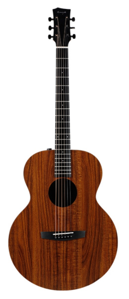 Enya EA-X1EQ+ по цене 30 950 ₽