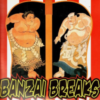 Banzai Breaks по цене 1 800 ₽