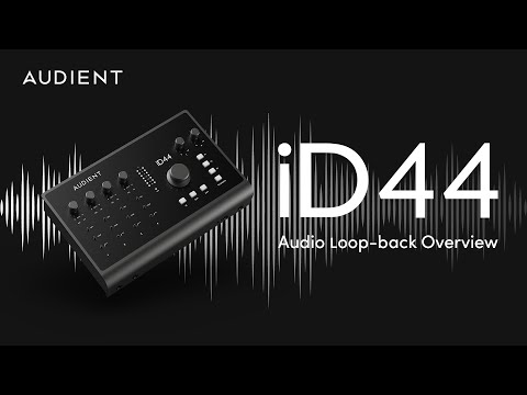 Using Audio Loop-back on Audient iD44 MKII Audio Interface