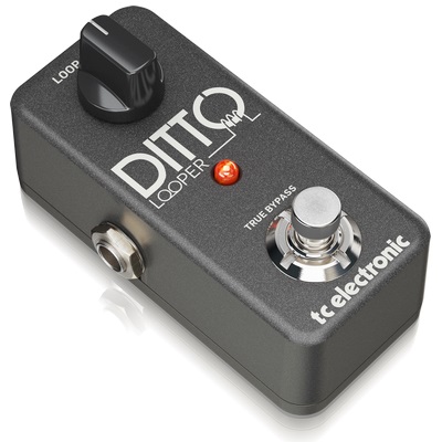 TC Electronic DITTO LOOPER по цене 10 650 ₽