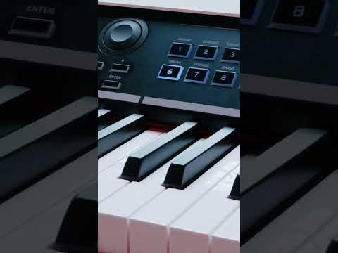 Korg Grandstage X по цене 339 990.00 ₽