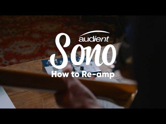 Audient Sono по цене 29 100 ₽