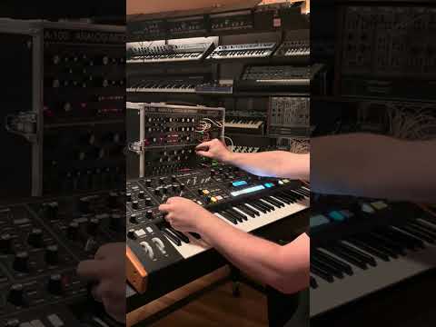 Happy Monday, friends. Let’s start the week with some analog exploration. ✨