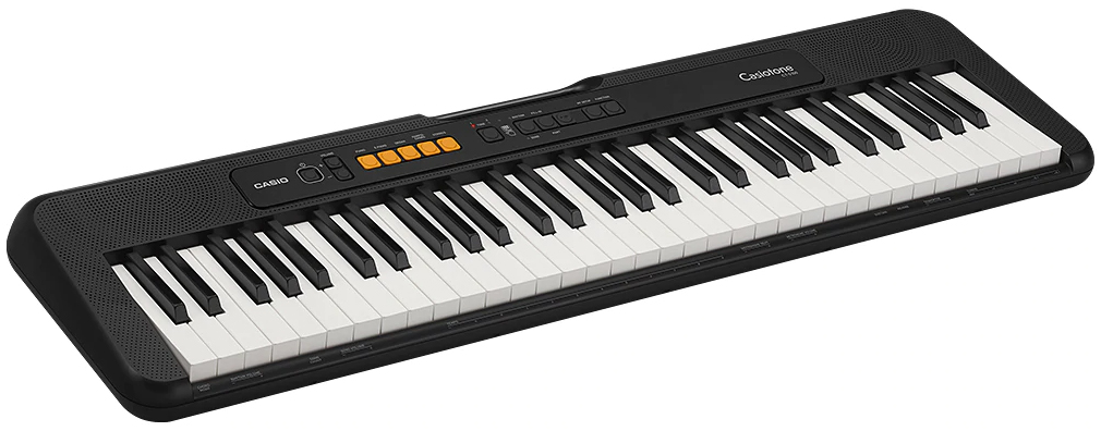 Casio CT-S100 по цене 14 600 ₽