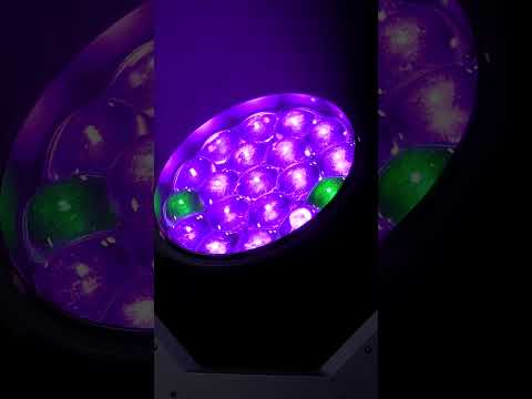 D'Addario NB1253 - Set Nickel Bronze Acoustic, Light, 12-53 по цене 1 670.00 ₽