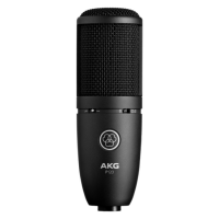 AKG P120