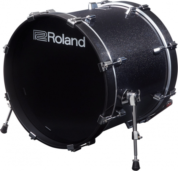 Roland KD-200-MS по цене 175 970 ₽