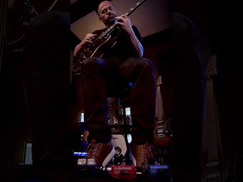 TC Electronic Infinite Sample Sustainer по цене 17 850 ₽