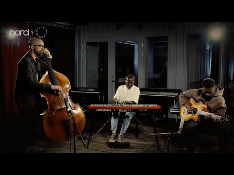 D'Addario NB1253 - Set Nickel Bronze Acoustic, Light, 12-53 по цене 1 670.00 ₽