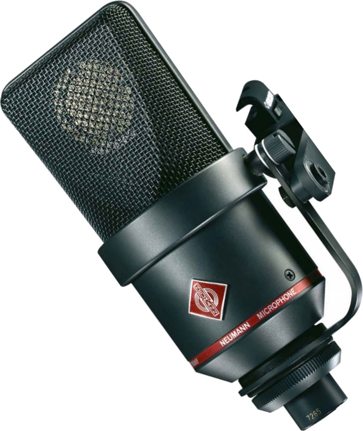 Neumann TLM 170 R по цене 421 600 ₽