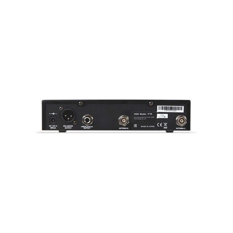 FBW P1R по цене 20 400 ₽