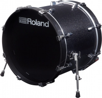Roland KD-200-MS