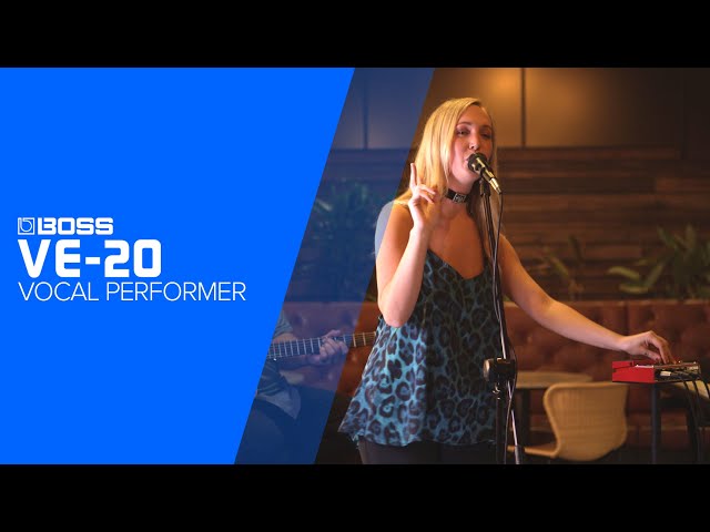 Boss VE-2 Vocal Harmonist по цене 31 950 ₽