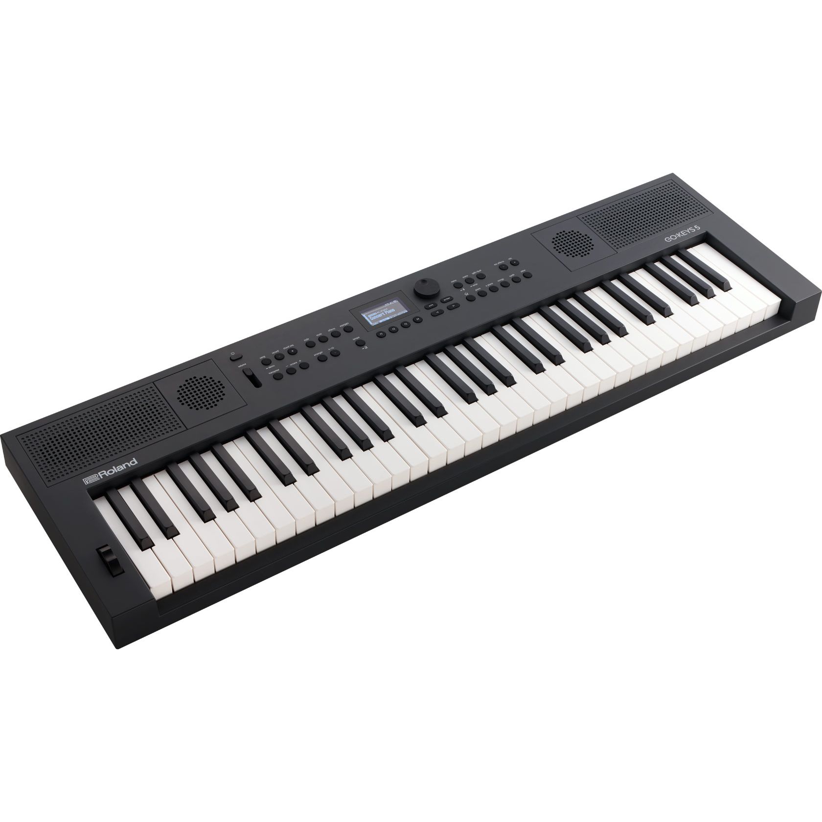 Roland Go:Keys 5 Graphite по цене 73 100 ₽