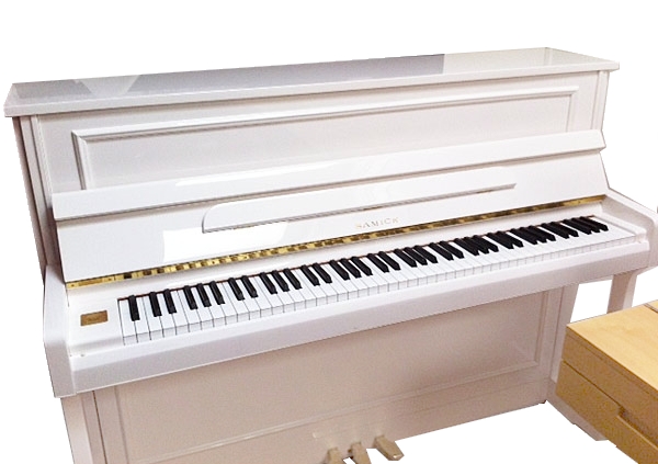 Samick JS112RID/WHHP по цене 676 700 ₽