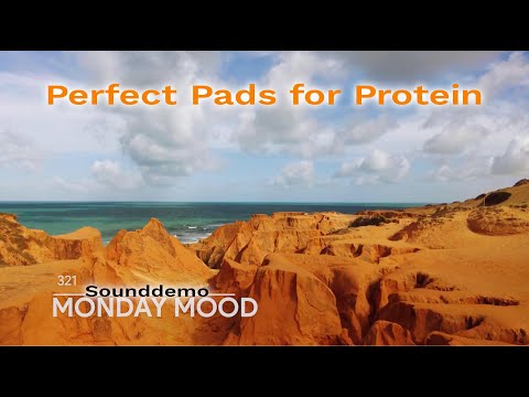 Waldorf Protein по цене 224&nbsp;400.00 ₽