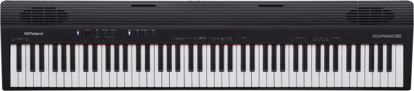 Roland GO-88P по цене 79 500 ₽